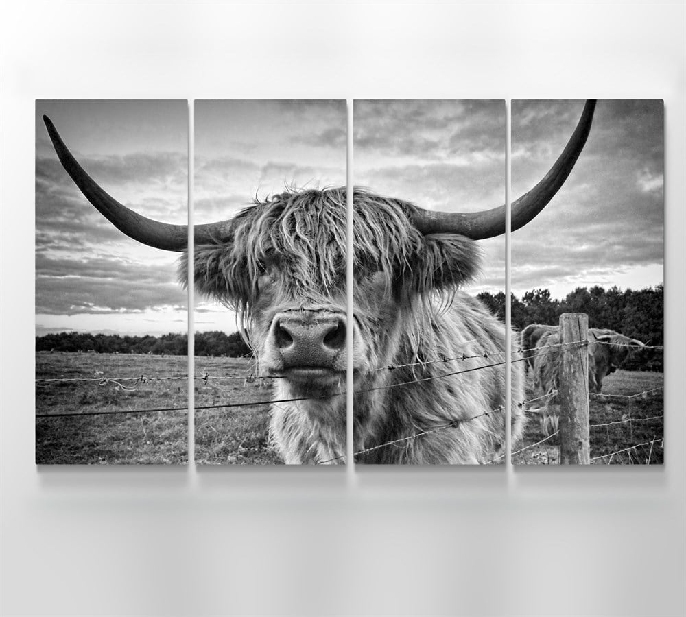 iskoç Highlander Dağ Sığırı 4 Parçalı Kanvas Tablo