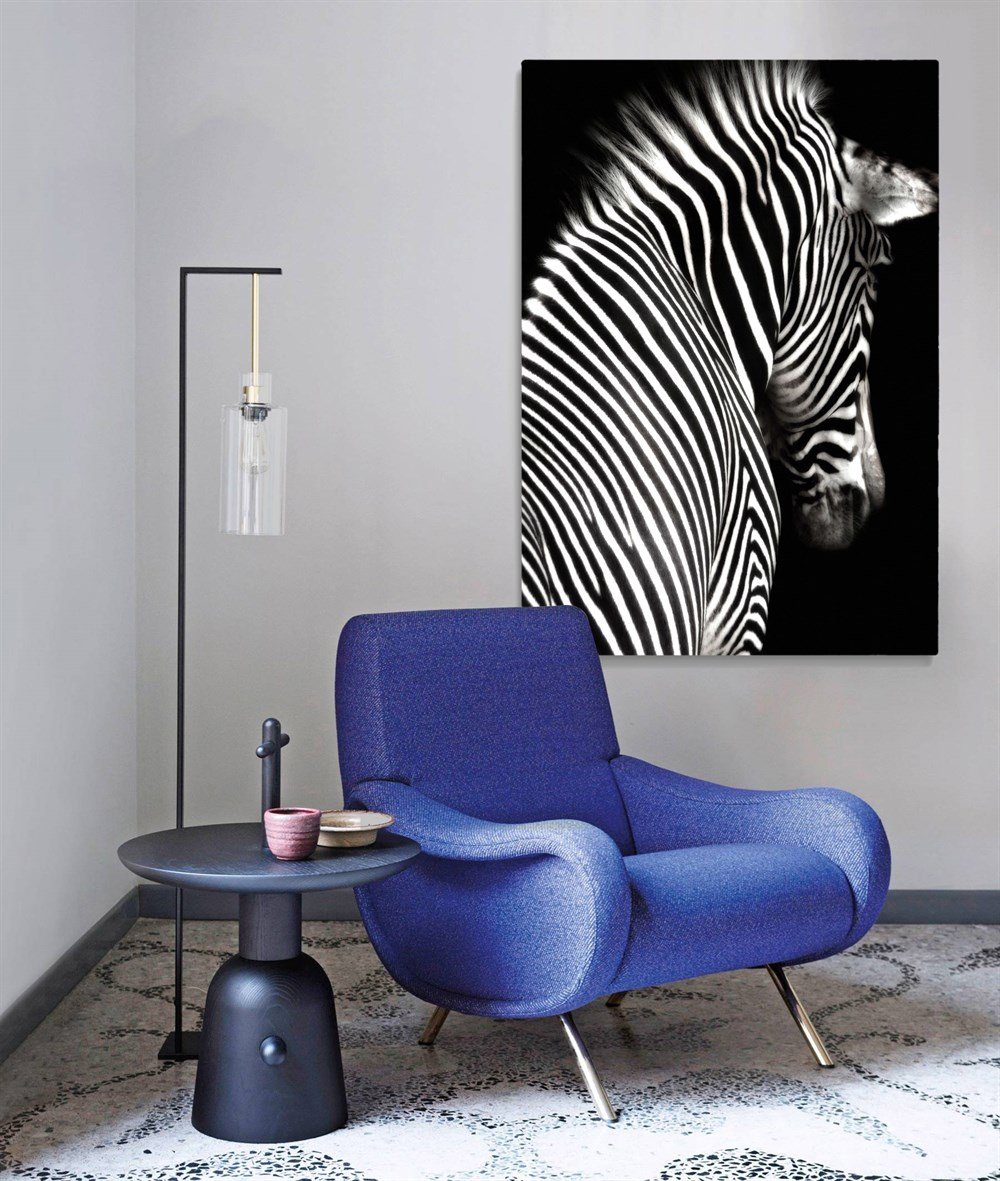 Zebra Kanvas Tablosu