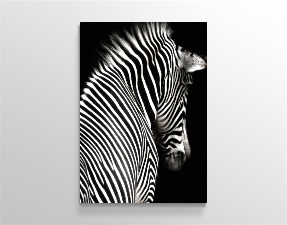 Zebra Kanvas Tablosu