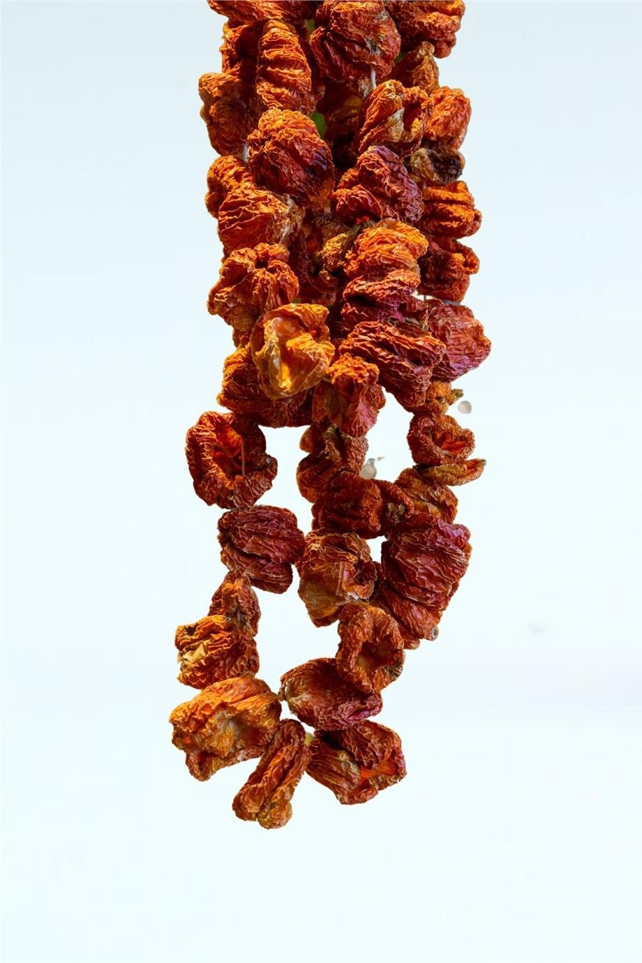 Kurutmalık Biber Tatlı