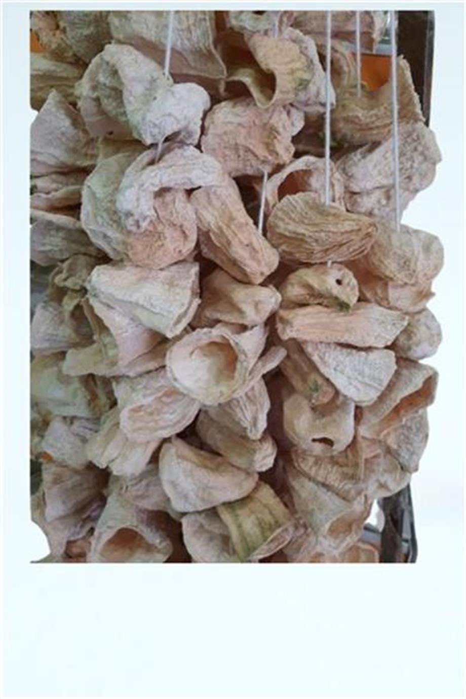 Kurutmalık Kabak