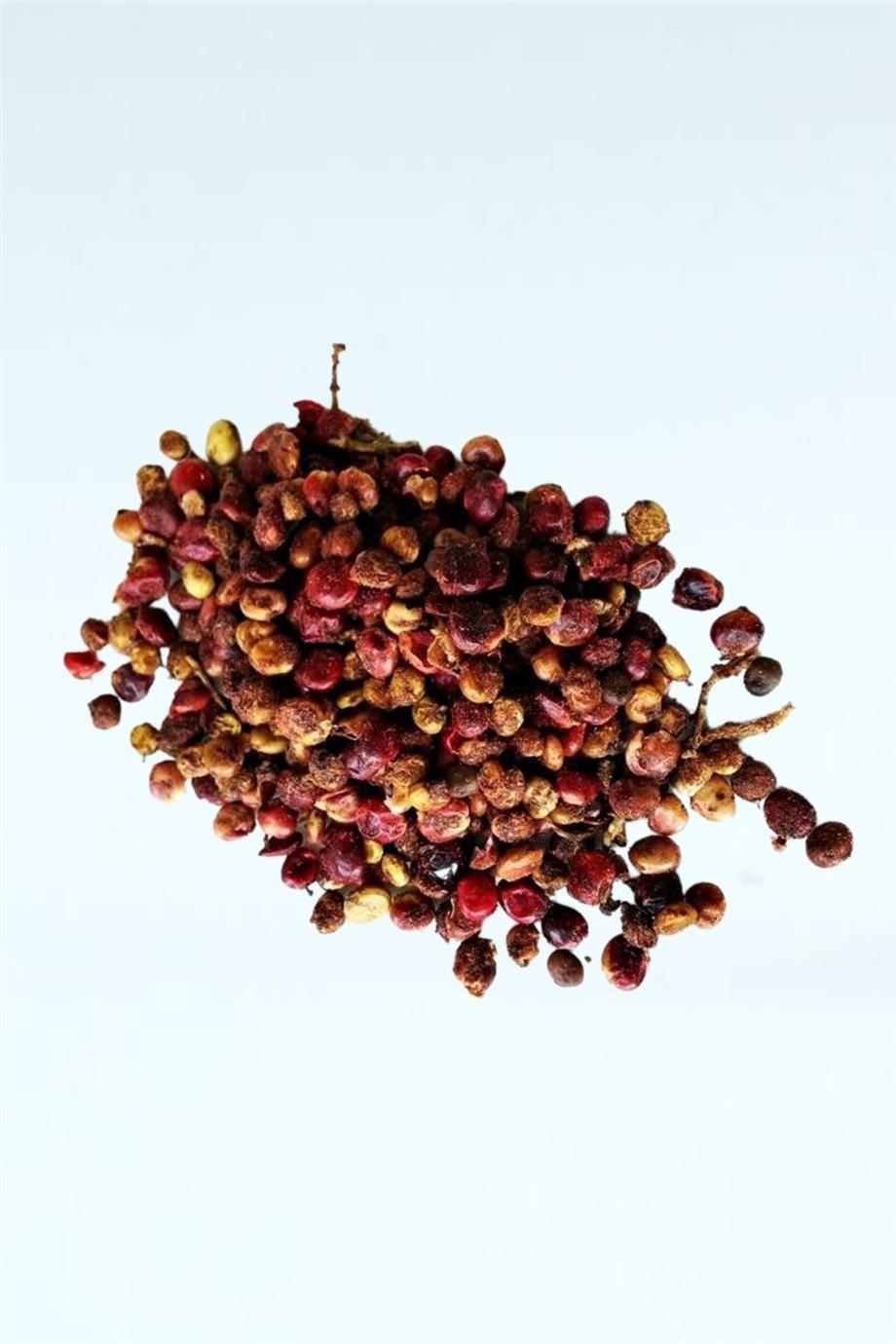 Sumak Tane (500 GR)
