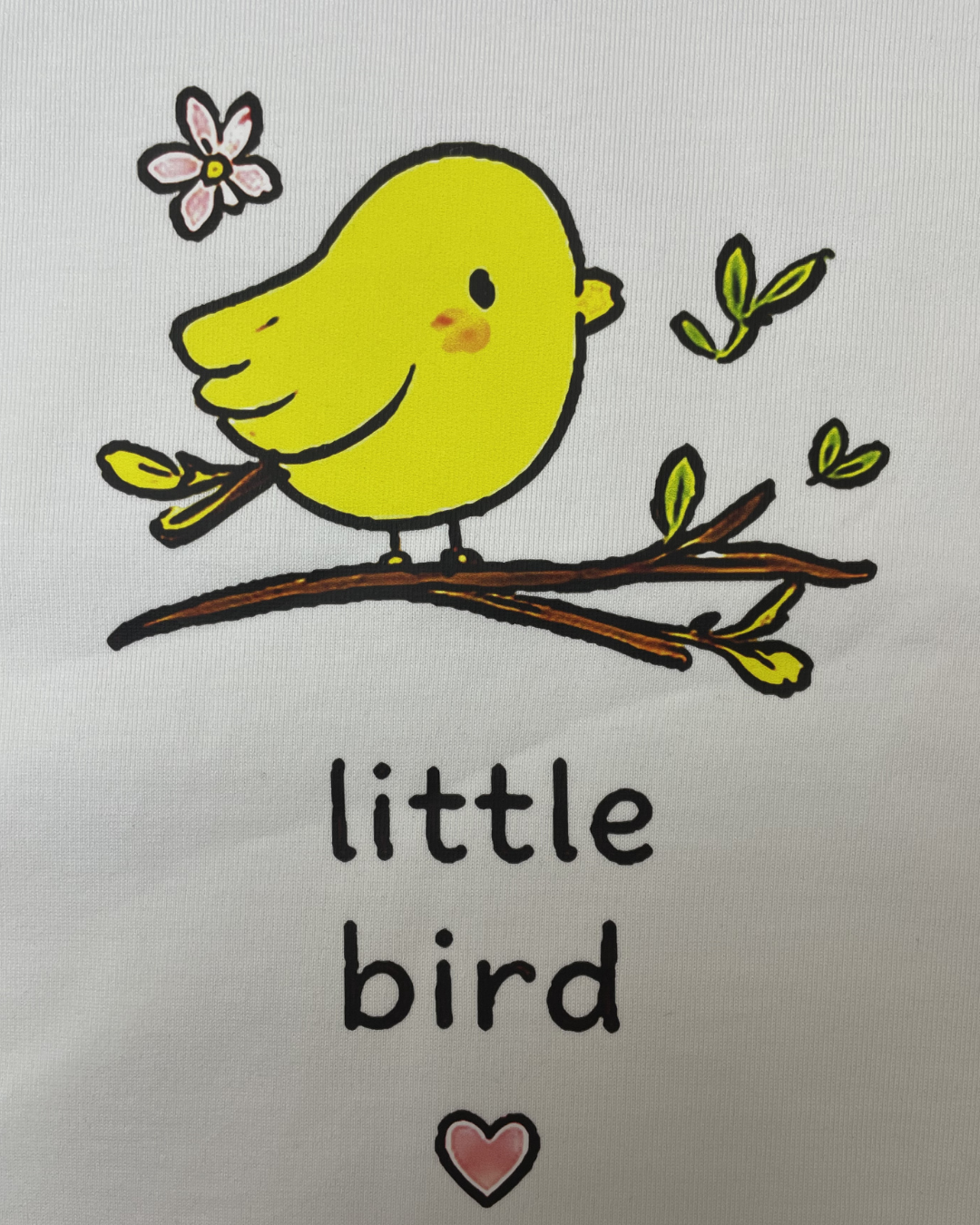 LITTLE BIRD, Organik Kumaşlı Kısa Kollu Baskılı Unisex Çocuk T- shirt