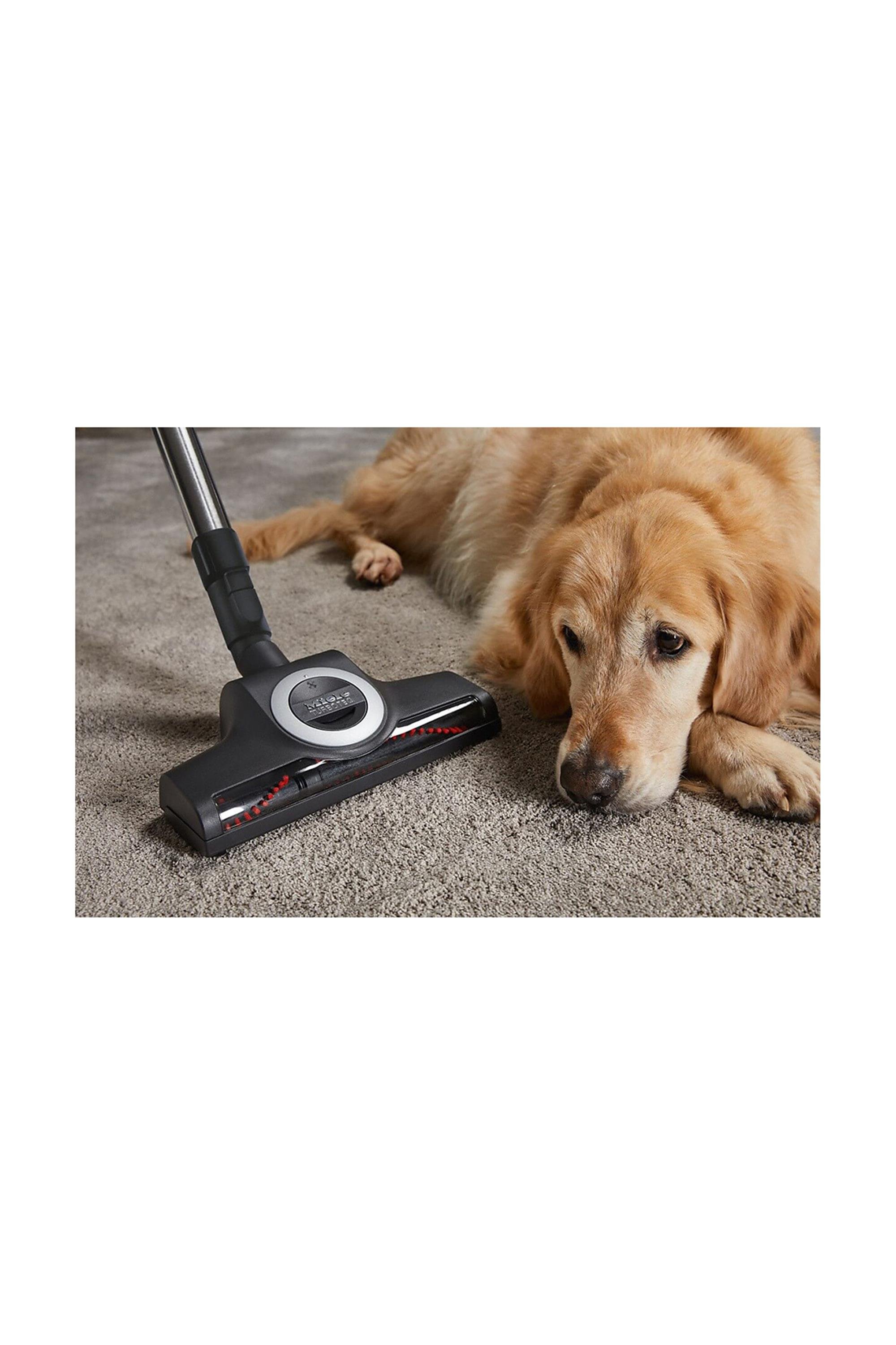Complete C3 Cat & Dog Flex Mango Kırmızısı Elektrikli Yer Süpürgesi