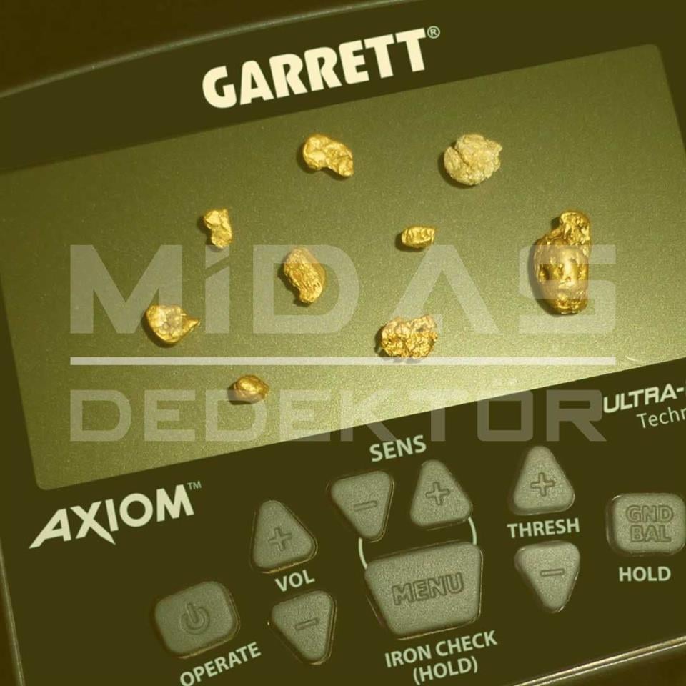 AXİOM ALTIN DEDEKTÖRÜ (13X11'' DD VEYA MONO BAŞLIKLA)