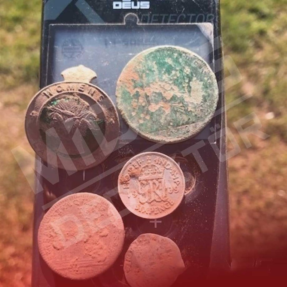 DEUS 24X13CM HF BAŞLIK,ANA KONTROL ÜNİTESİ