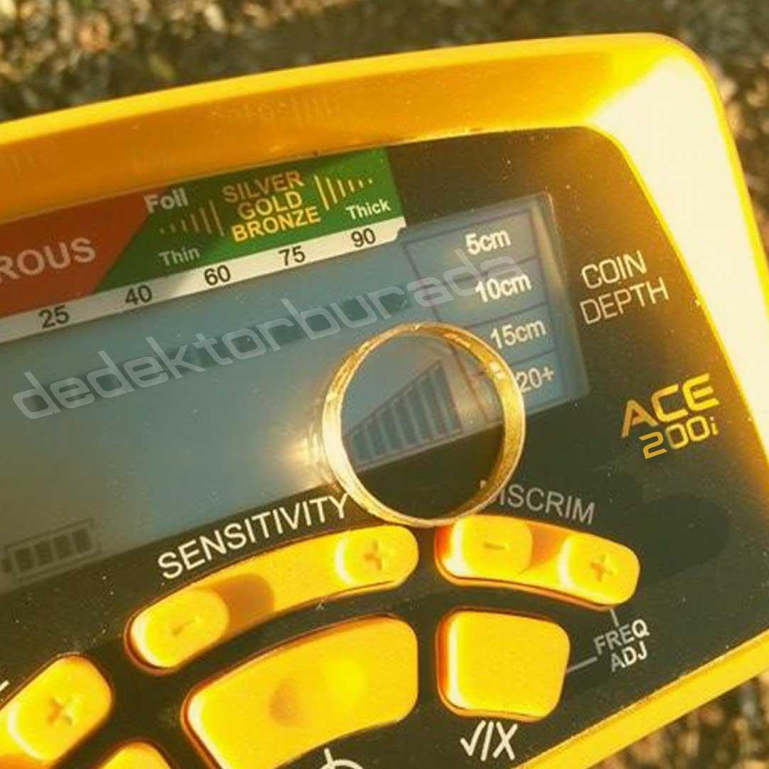 Ace 250 Dedektör