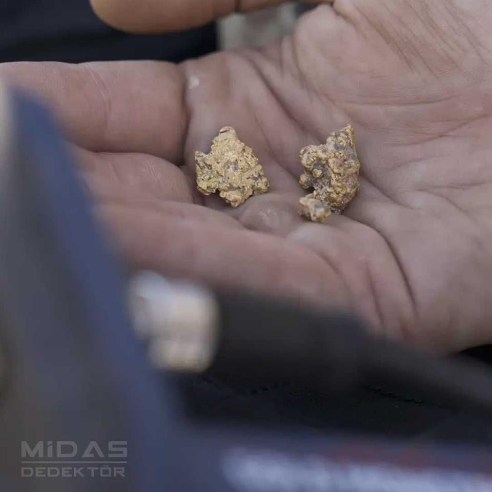 GOLD MONSTER 1000 ALTIN DEDEKTÖRÜ