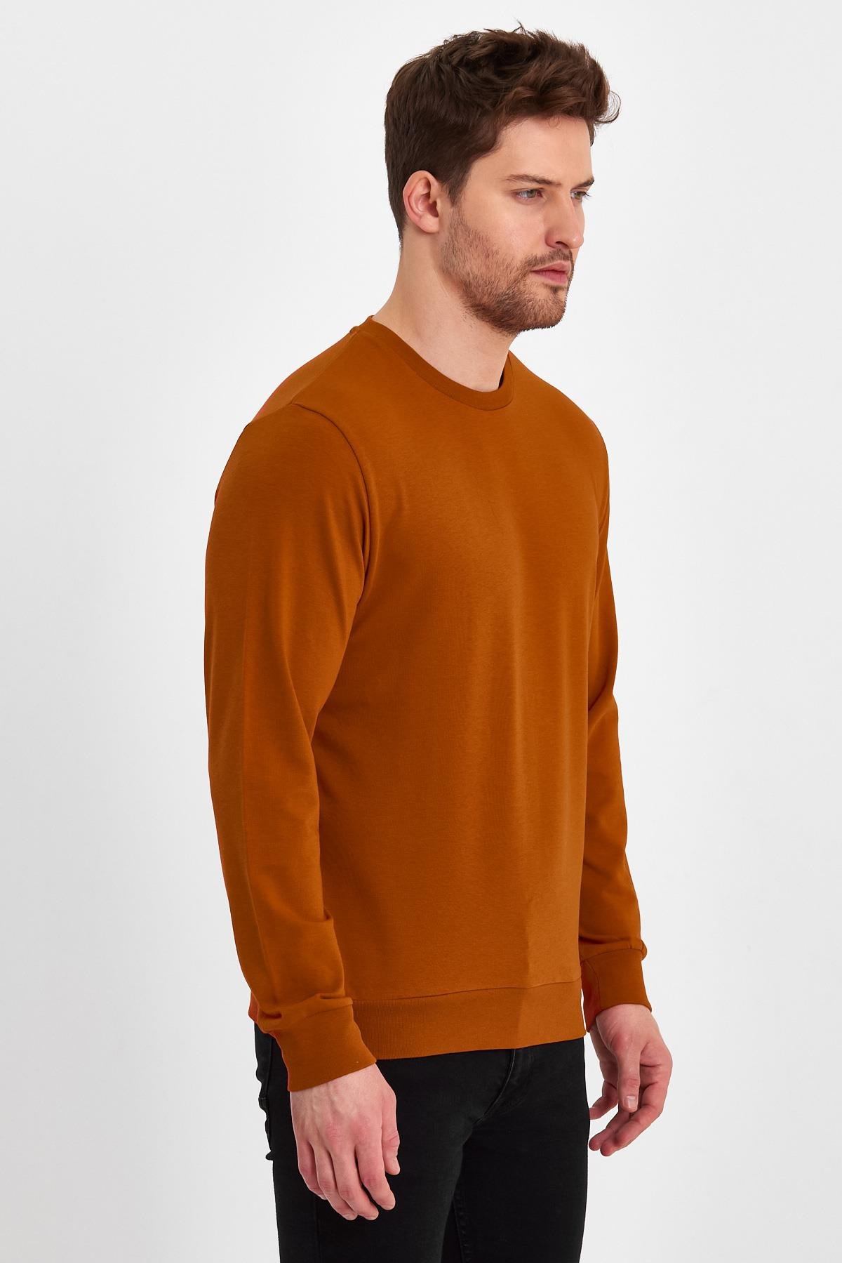 FİHA/ŞEBEK-9025 ERKEK LİKRALİ  SIFIR YAKA SWEAT - TARÇIN