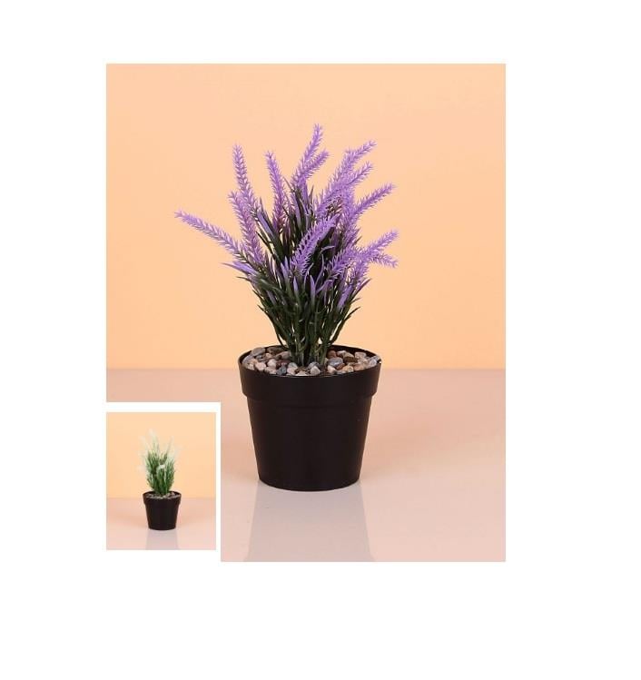 Lavanta Çiçeği Yuvarlak Saksıda 20 cm Plastik
