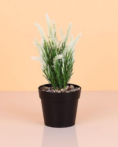 Lavanta Çiçeği Yuvarlak Saksıda 20 cm Plastik