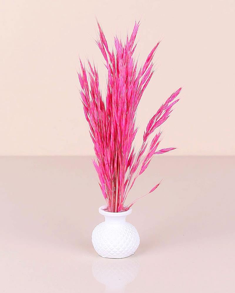 Mini Saksılı Tüylü Çiçek