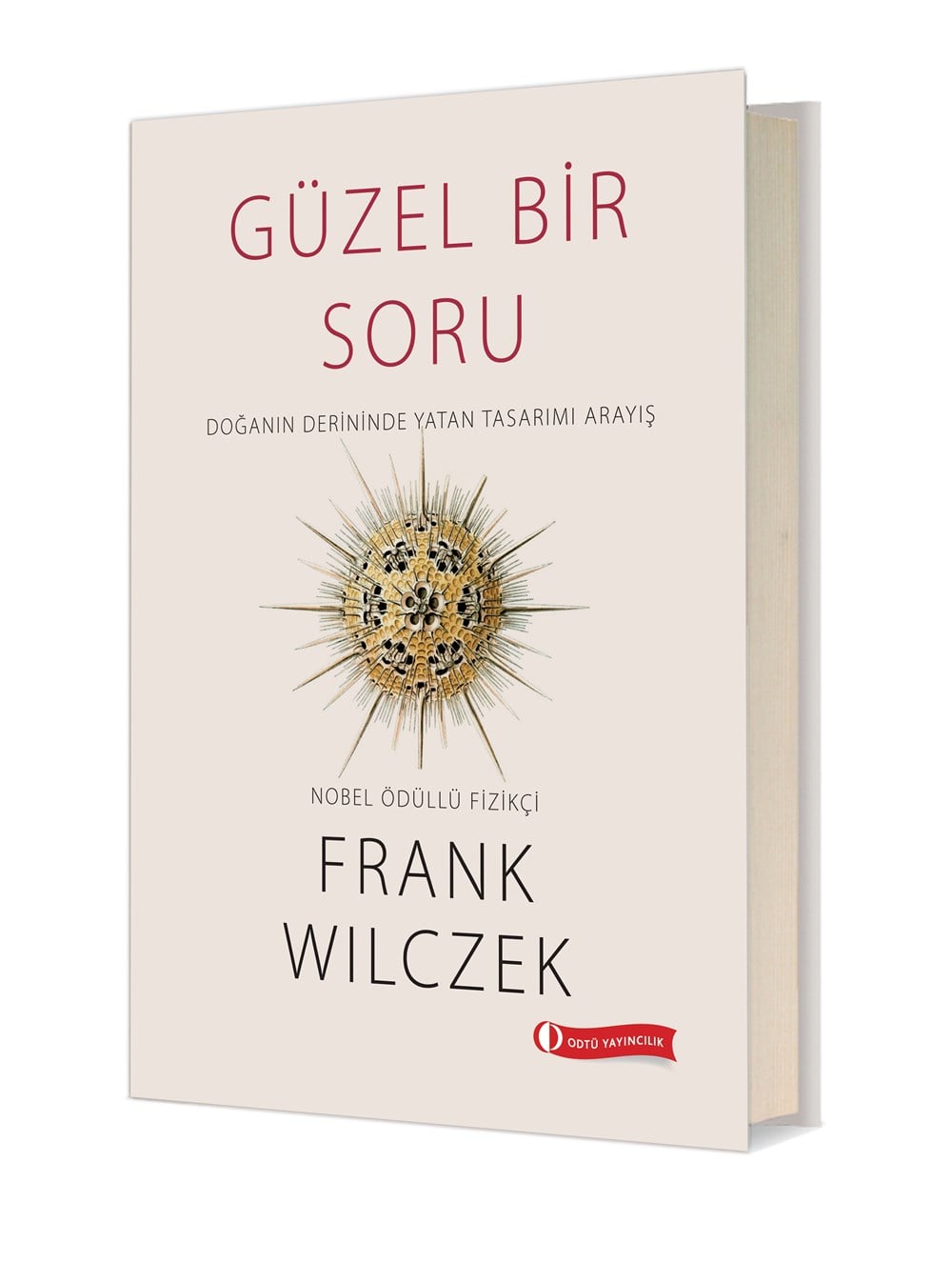 Güzel Bir Soru 