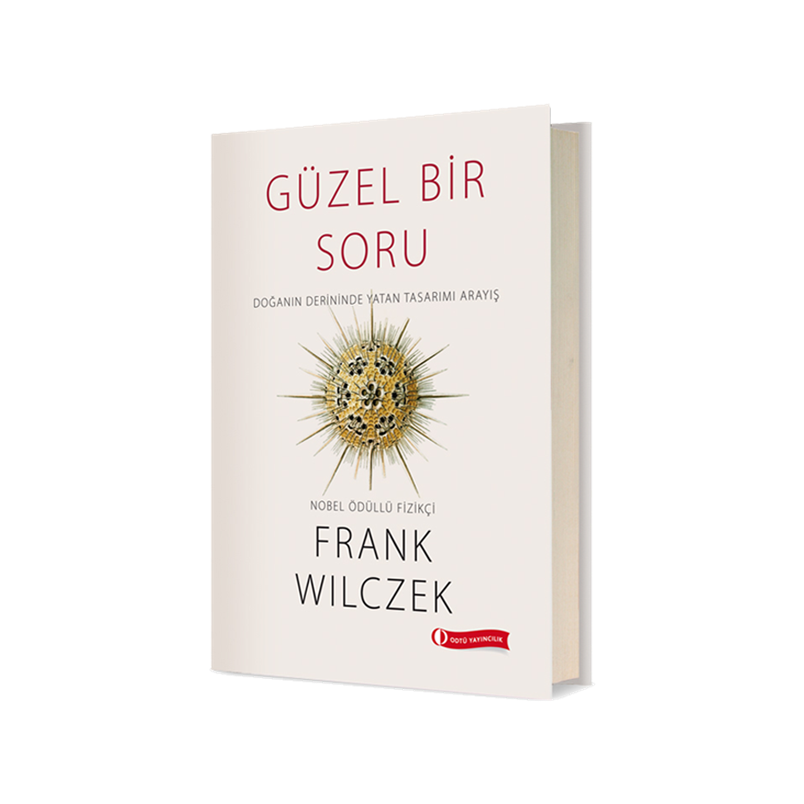 Güzel Bir Soru