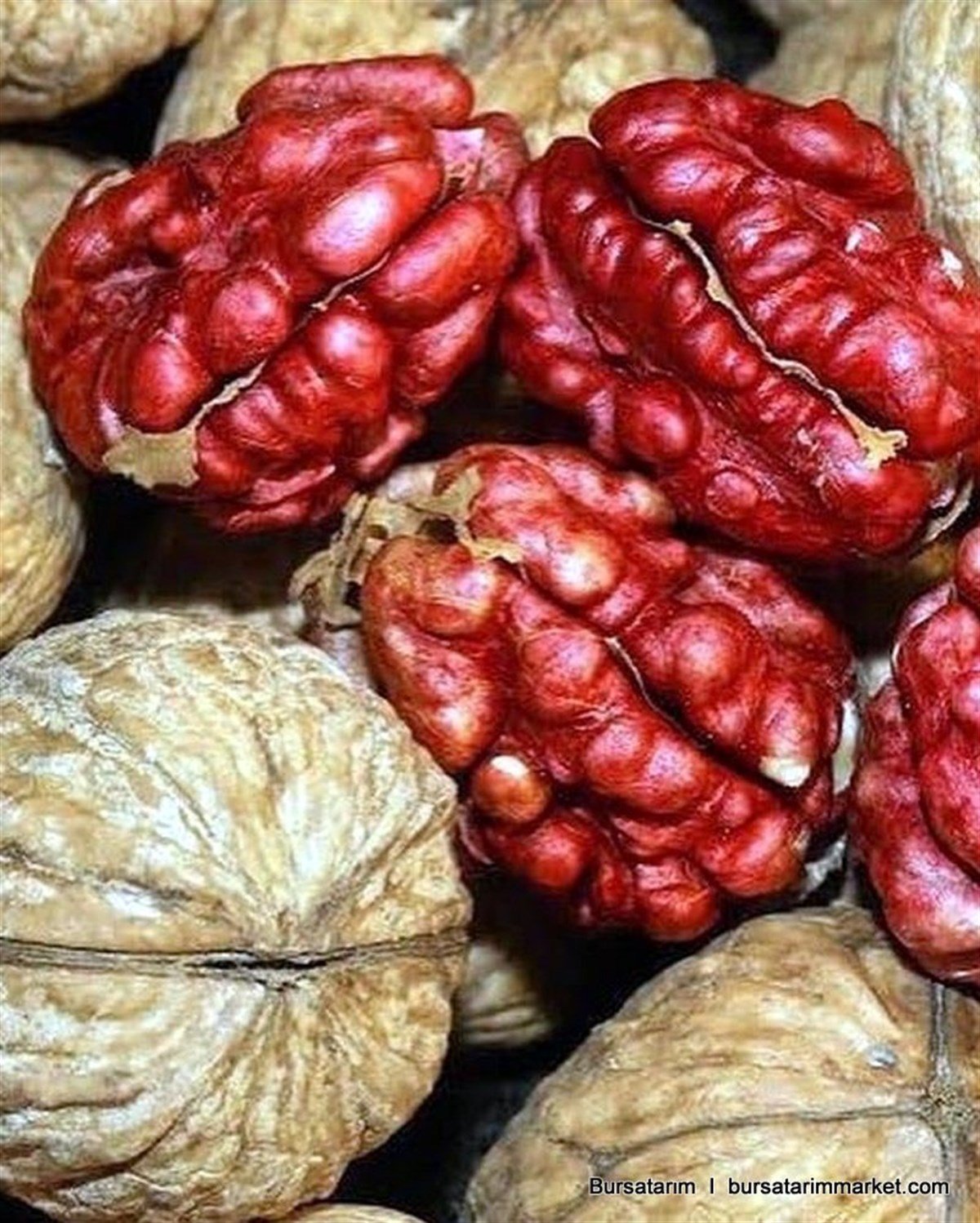 BURSATARIMKırmızı Ceviz Fidanı