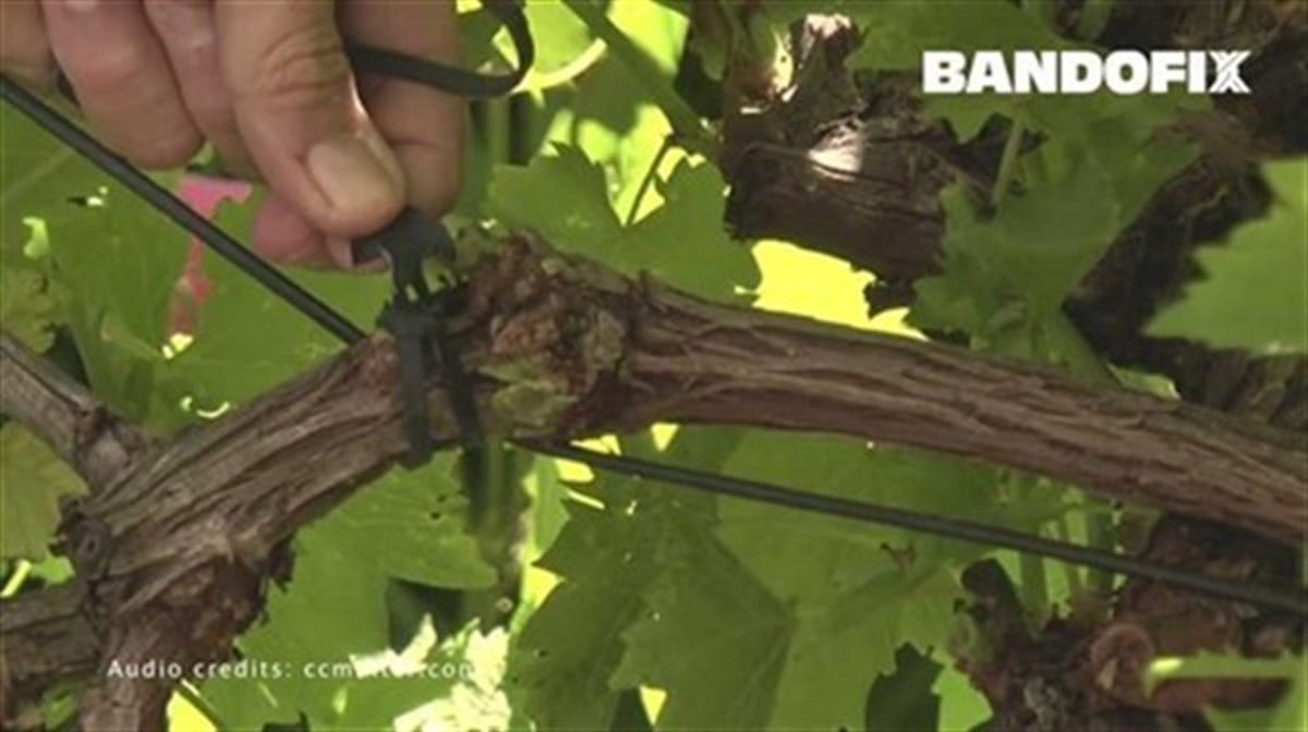 BUTAFIXBağlama Lastiği ( Te Bant) 8cm - Bandofix