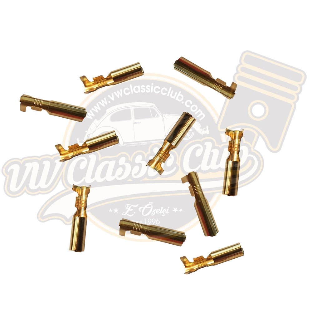 Dişi Fiş DF-4 (10'lu)