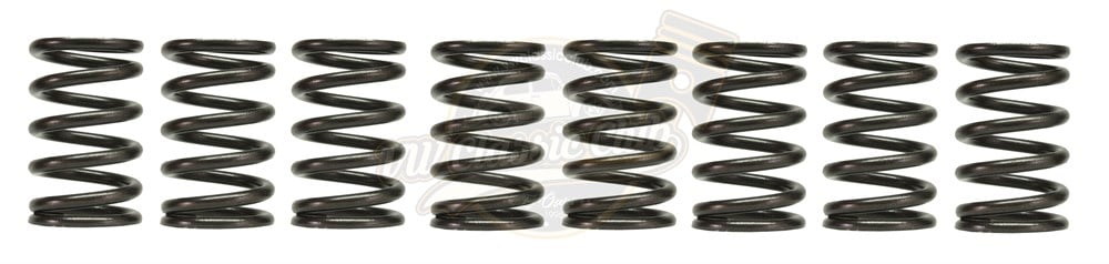 Supap Yayı Set (1100)