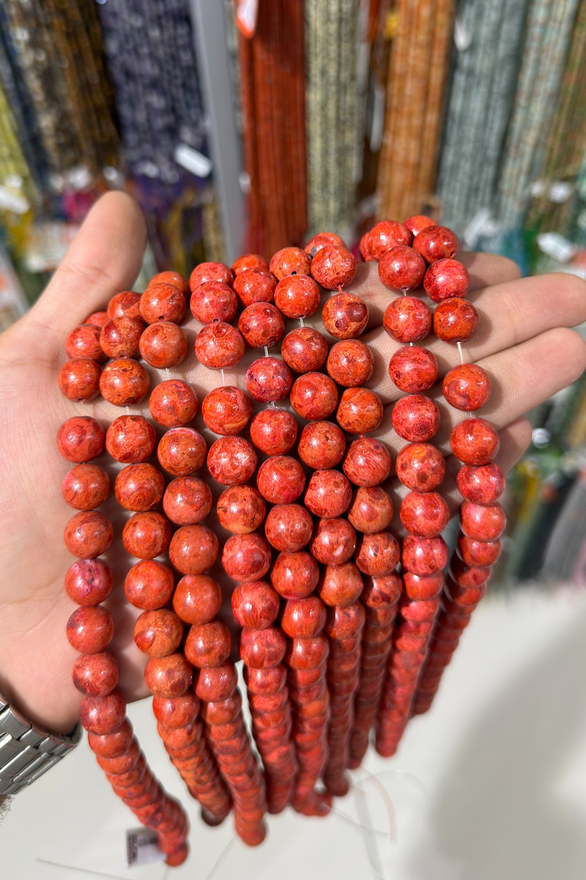 Bambu Çim Mercan Taşı Küre Kesim Bordo 12mm Doğal Taş Dizi