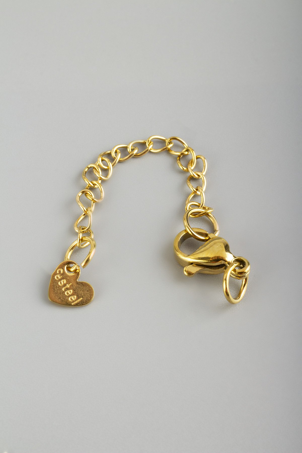 Çelik Papağan Zincir Ve Halka Seti Aparat Altın 20 PCS