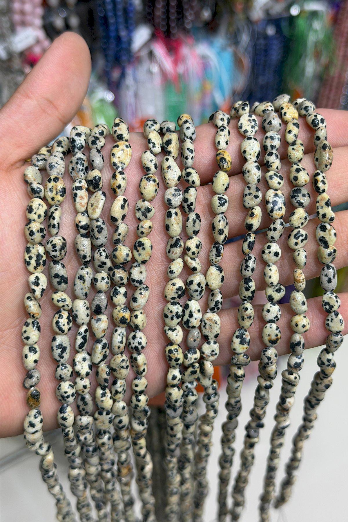 Dalmatian Jasper Natural Stone Tumbler Cut 6x8mm String Of Beads