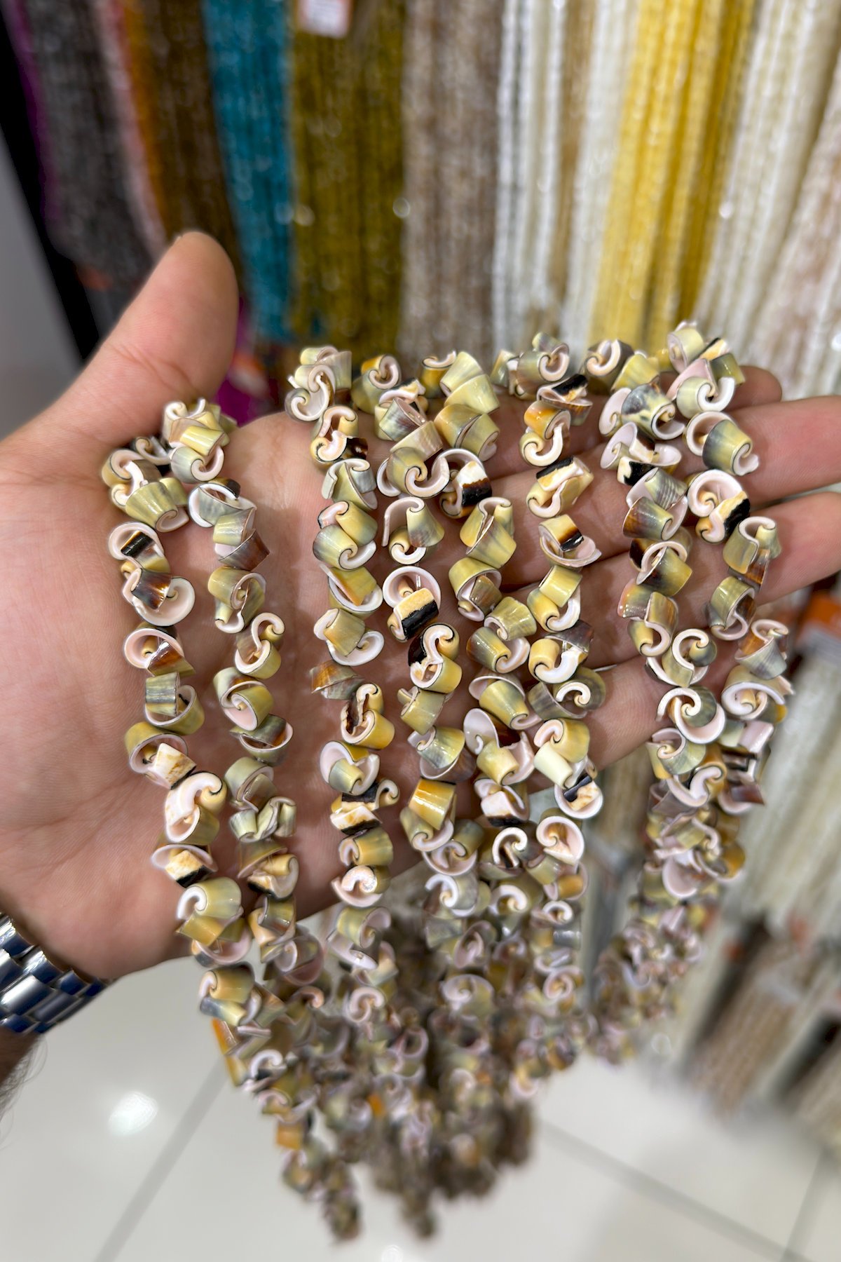 Deniz Kabuğu Spiral Kesim Yeşil Beyaz Dizi