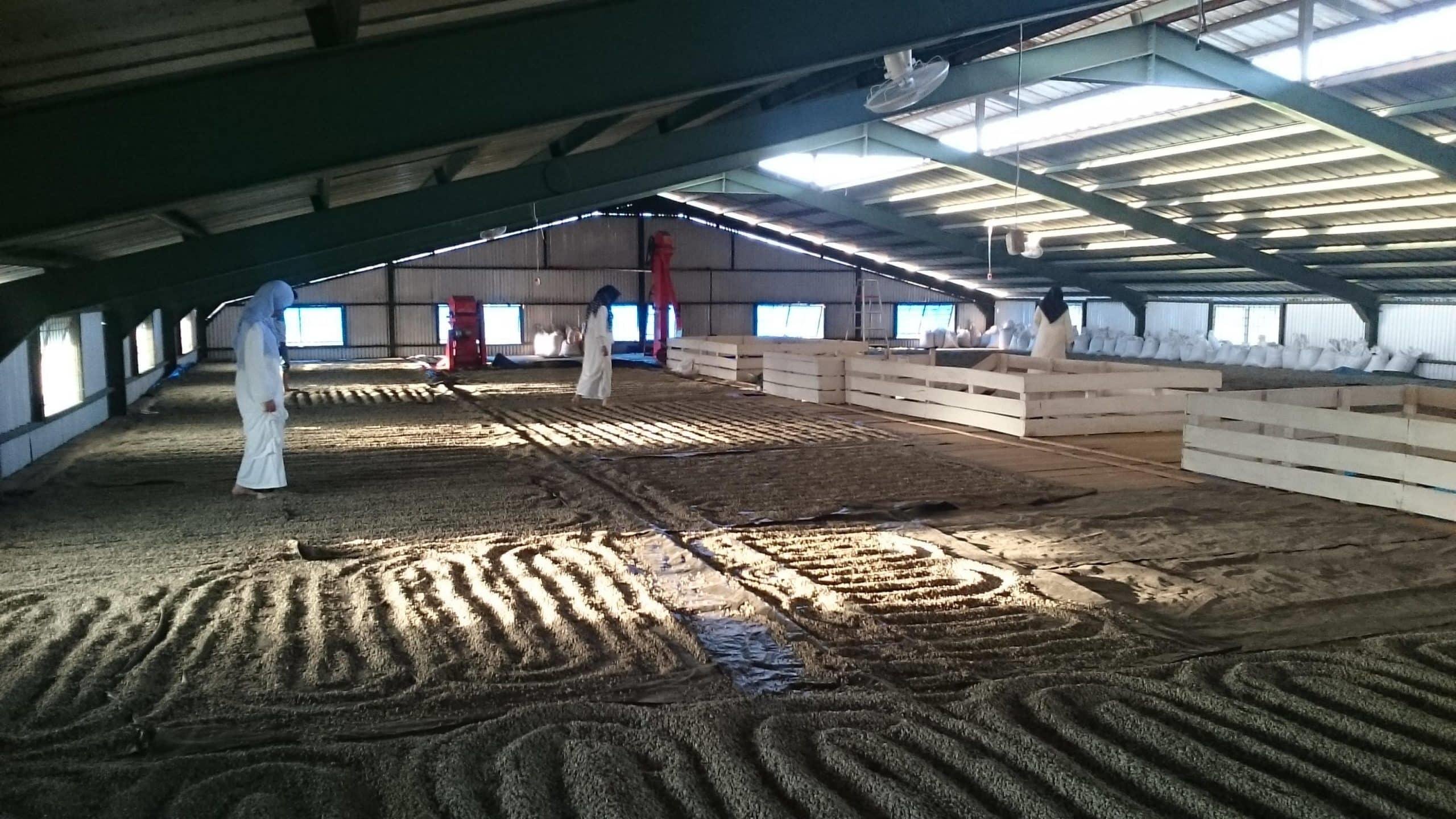 NORDIC APPROACH - Indonesia Frinsa Edun #2 