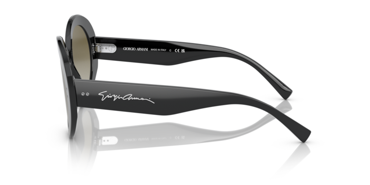 8056597746175 GIORGIO ARMANI AR 8174 50018E 53 Güneş Gözlüğü