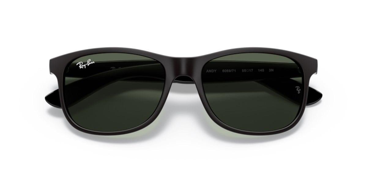 RAY-BAN RB 4202 606971 55 GÜNEŞ GÖZLÜĞÜ