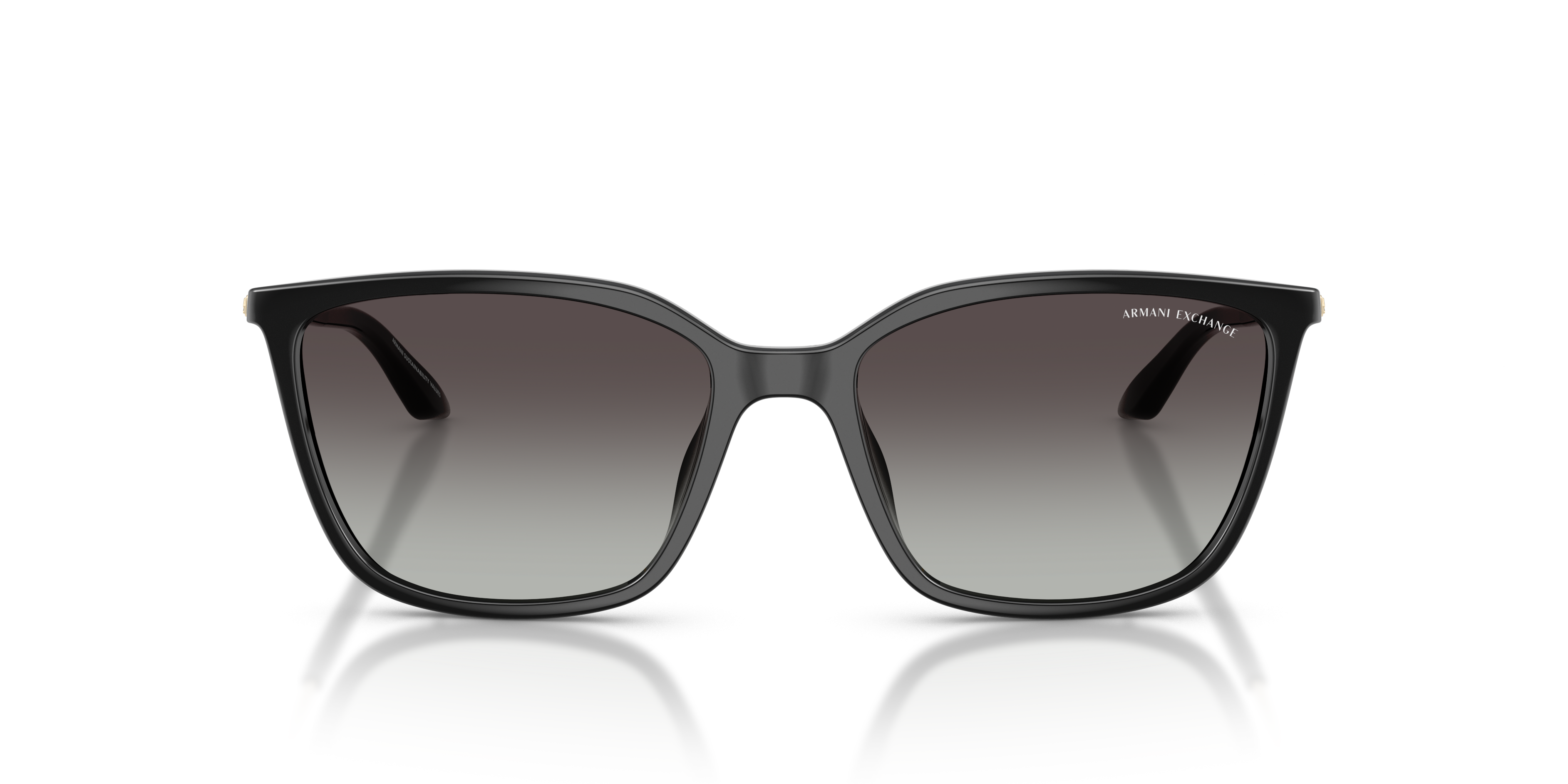 Armani Exchange AX4171SU 81588G Güneş Gözlüğü