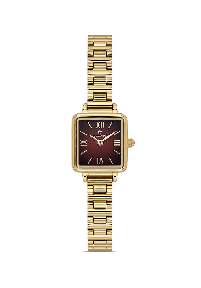 Momentus CW312G-14SG Kol Saati