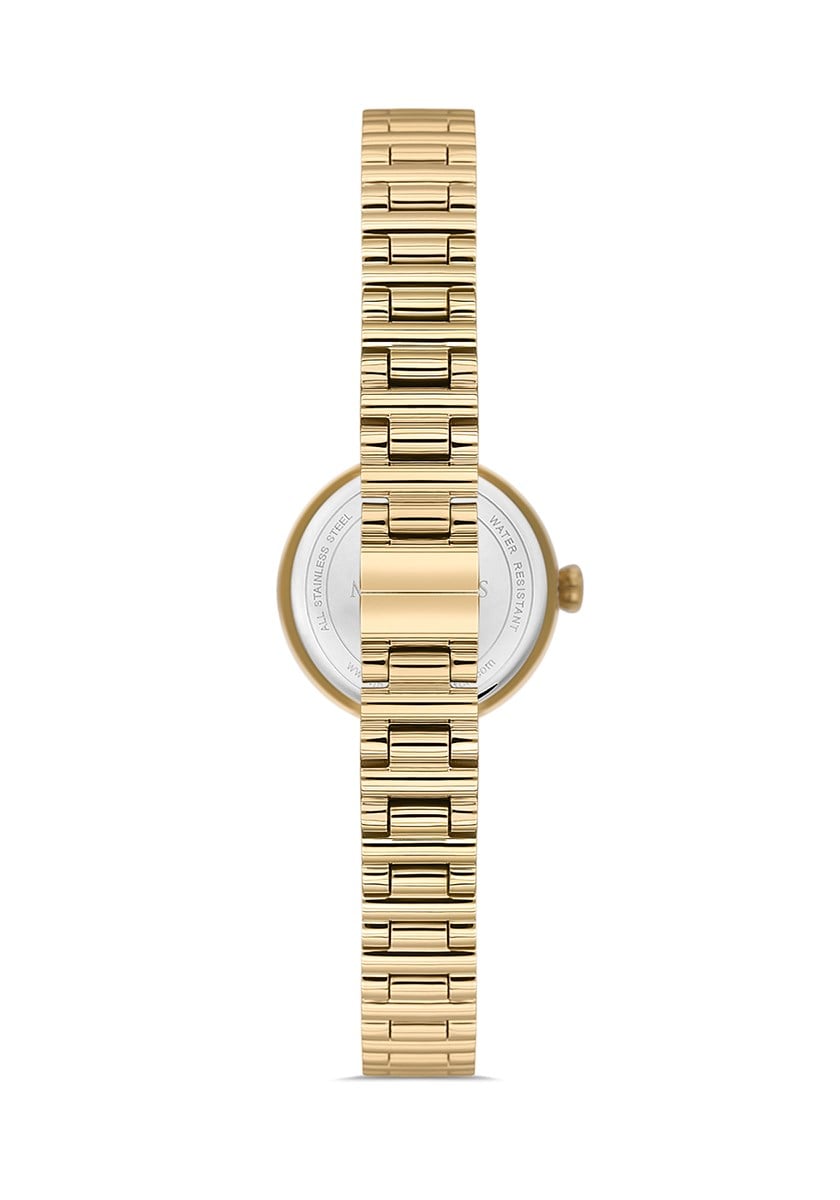 Momentus CW313G-14SG Kol Saati