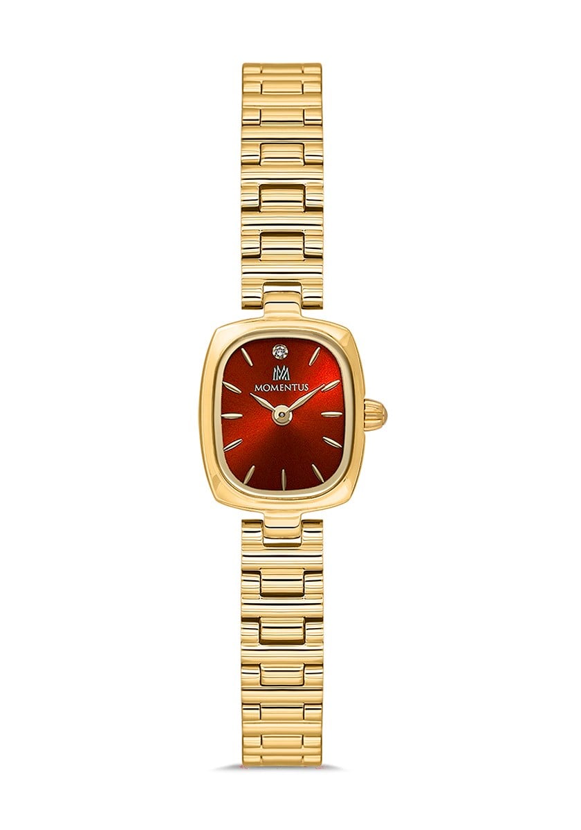 Momentus CW317G-14SG Kol Saati