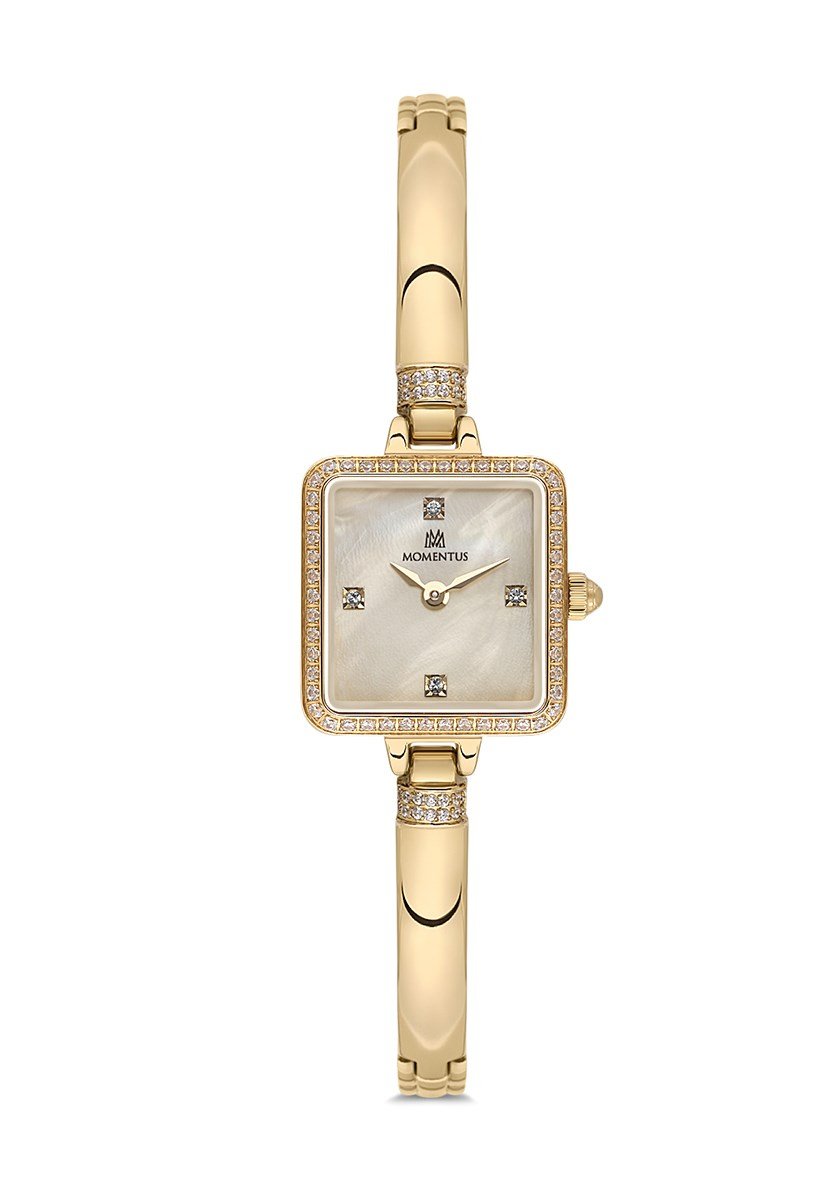 Momentus SW295G-08SGS Kol Saati