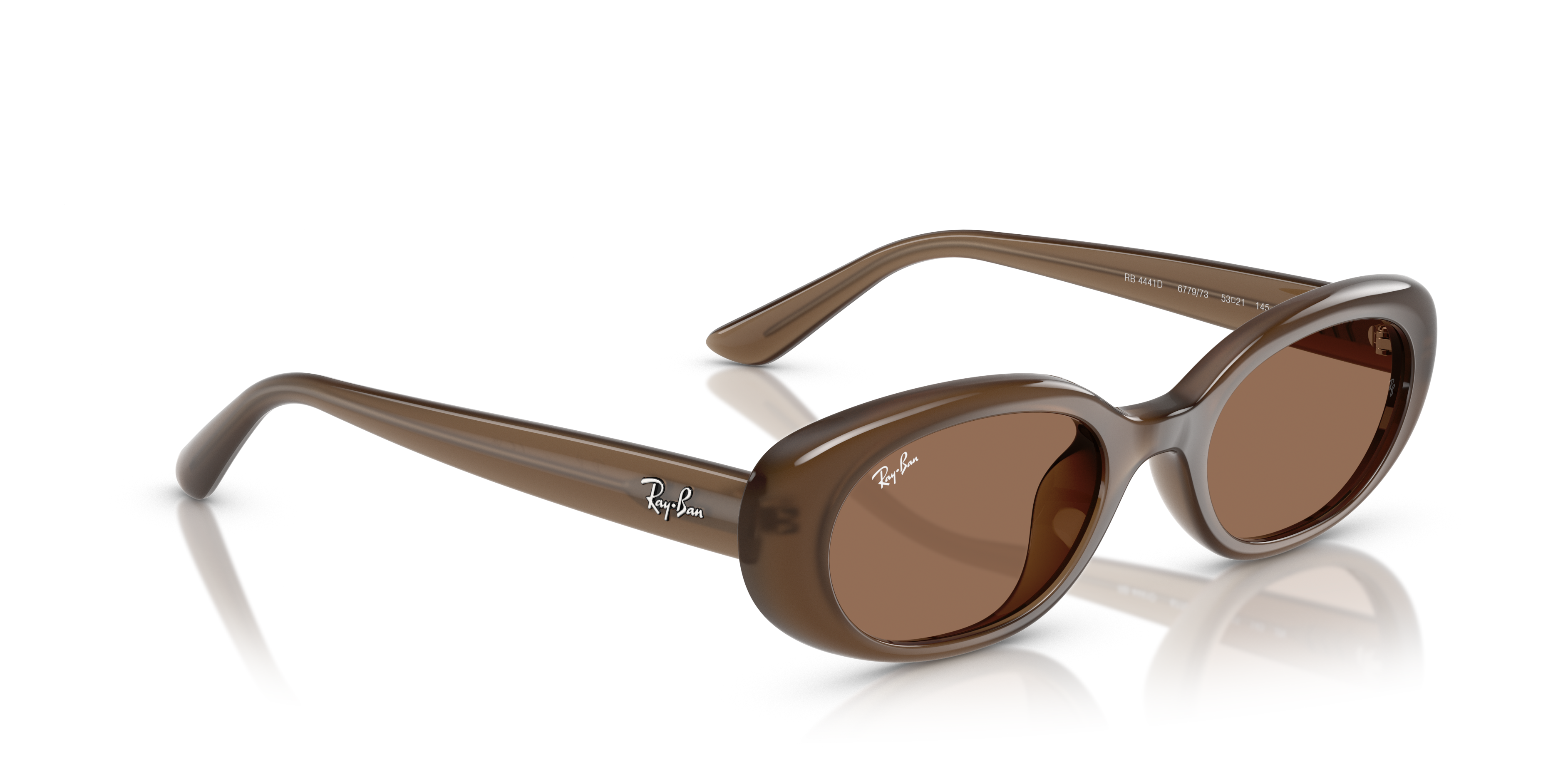 Ray-Ban 0RB4441D 677973 53 Güneş Gözlüğü