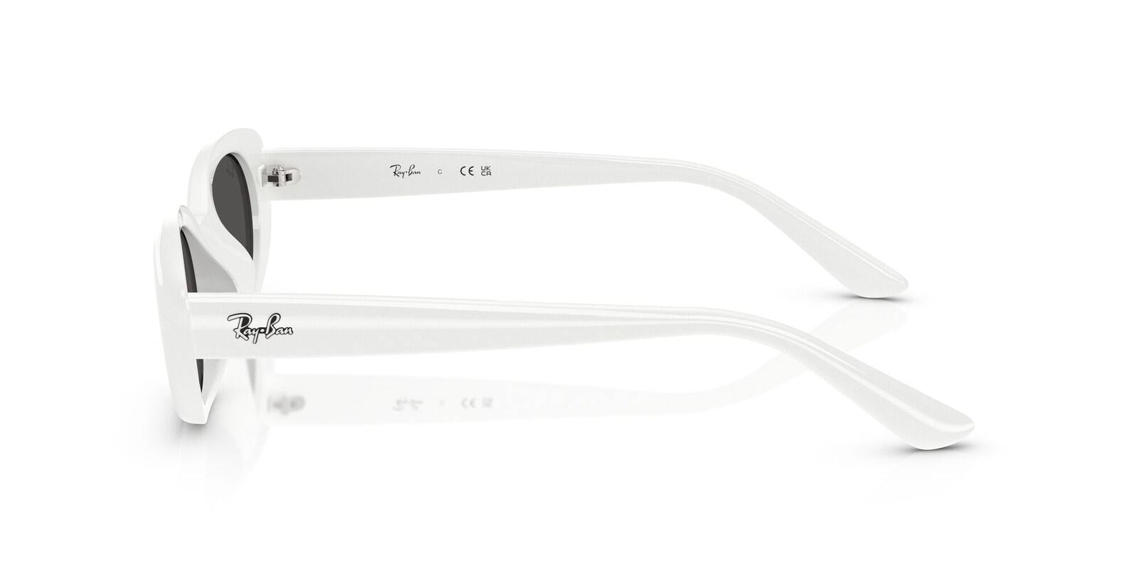 Ray-Ban RB4441D 677287 Güneş Gözlüğü