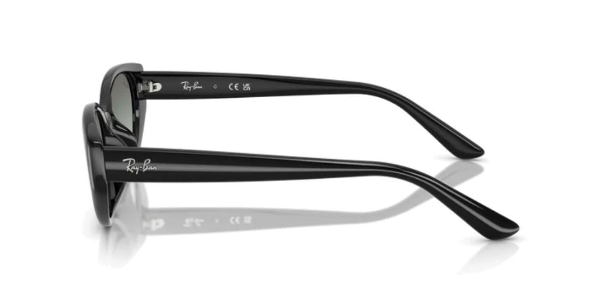 Ray-Ban RB4457D 667711 55 Güneş Gözlüğü