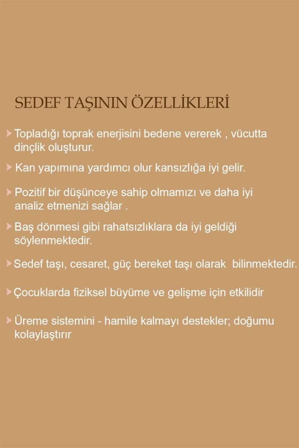  Zirkon Taşlı Renkli Gümüş Sedef Kolye