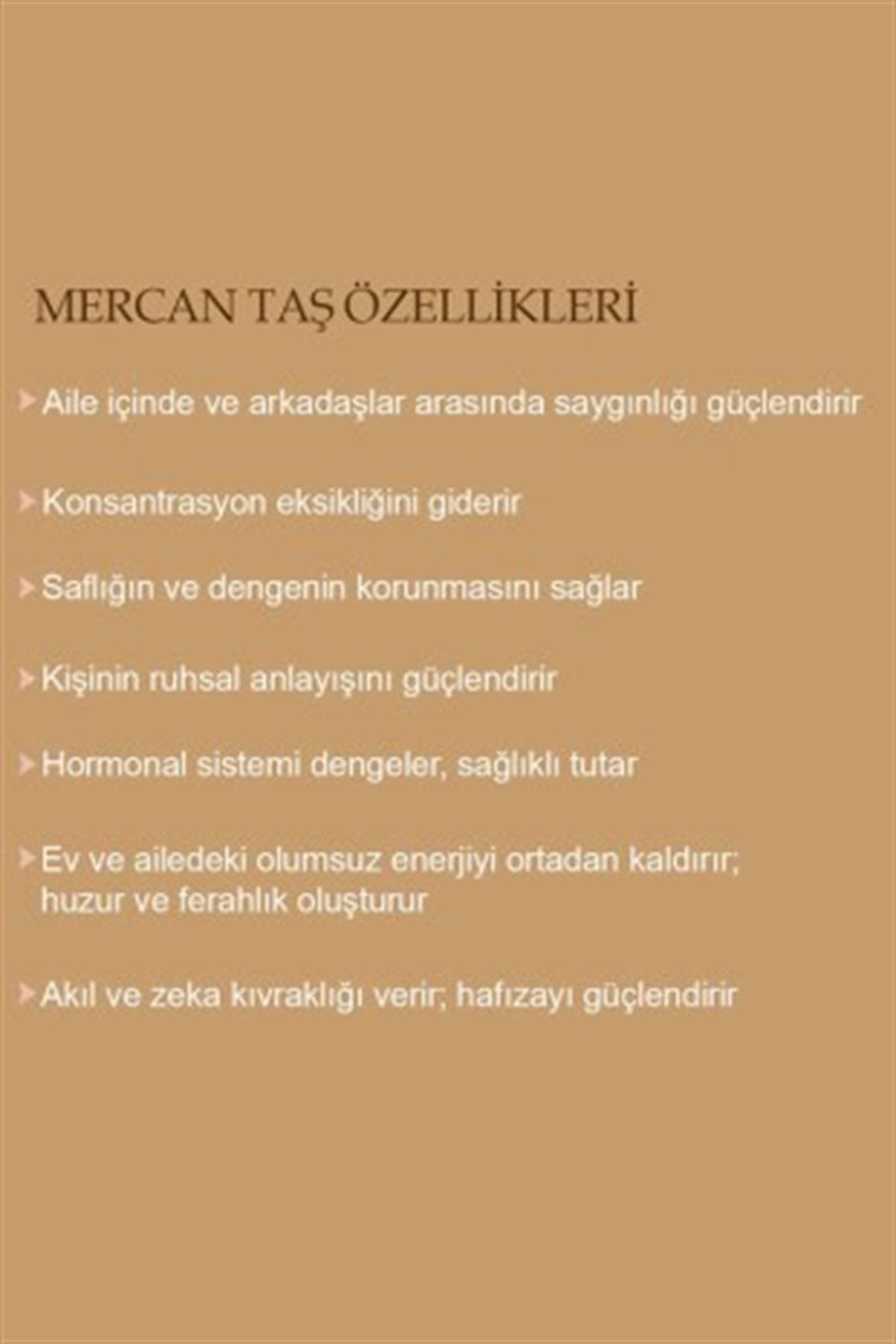 Otantik Mercan Gümüş Küpe