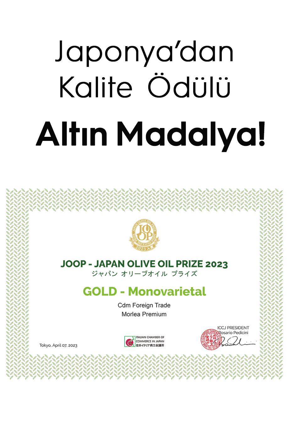 MORLEA Premium Hediyelik Kutulu (Sos Tabaklı) Erken Hasat Soğuk Sıkım Naturel Sızma Zeytinyağı (500 Ml)