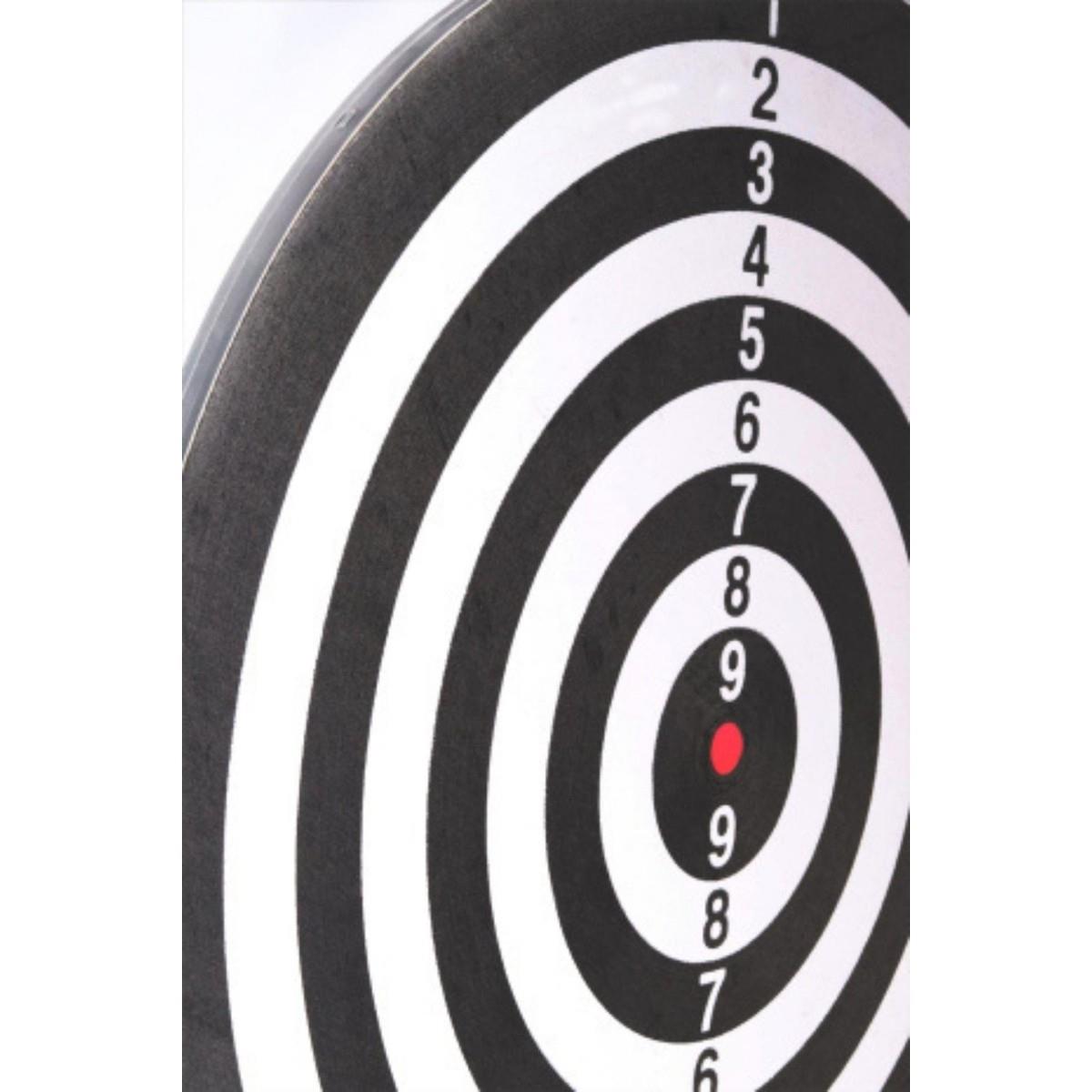 DeltaDelta Dart Seti 38 cm (15 İnç) + 6 Dart Oku (6 Gr) Hedef Tahtası SDE159