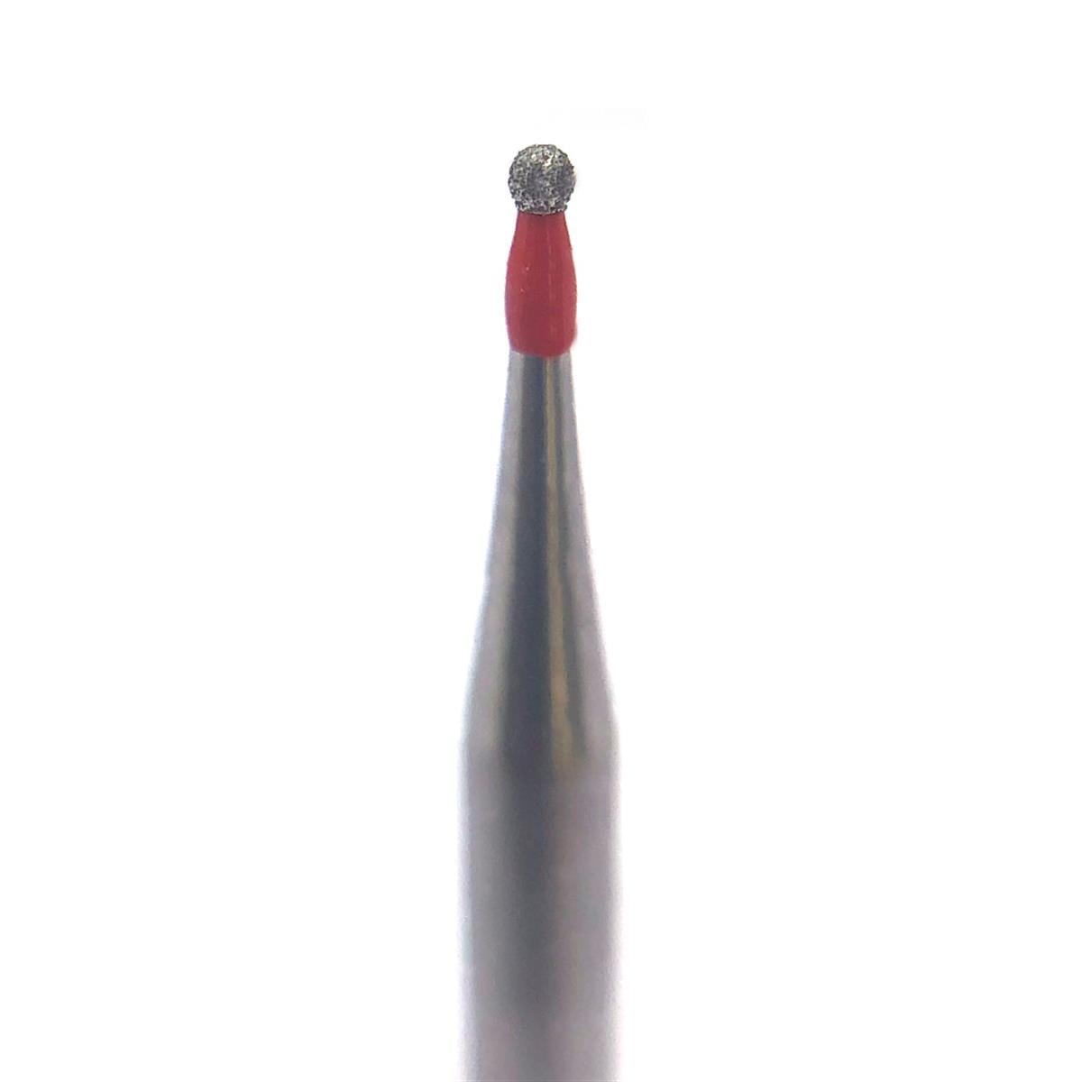 ASİDENTD+Z ECOLİNEE801M.313.010 E801