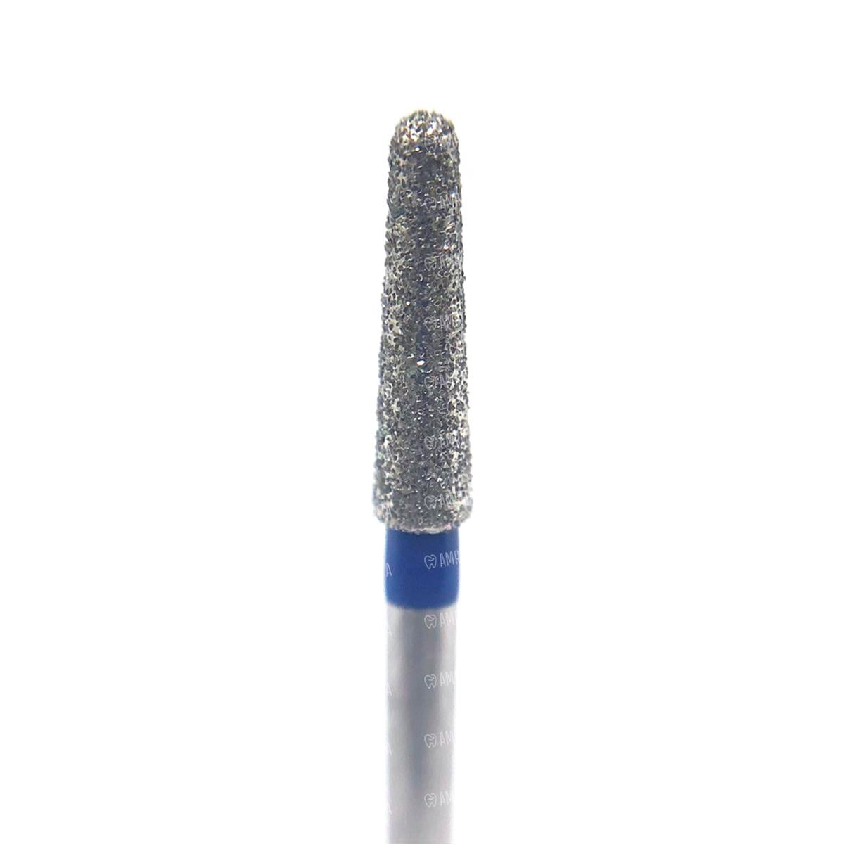 ASİDENTD+Z ECOLİNEE856M.313.018 E856