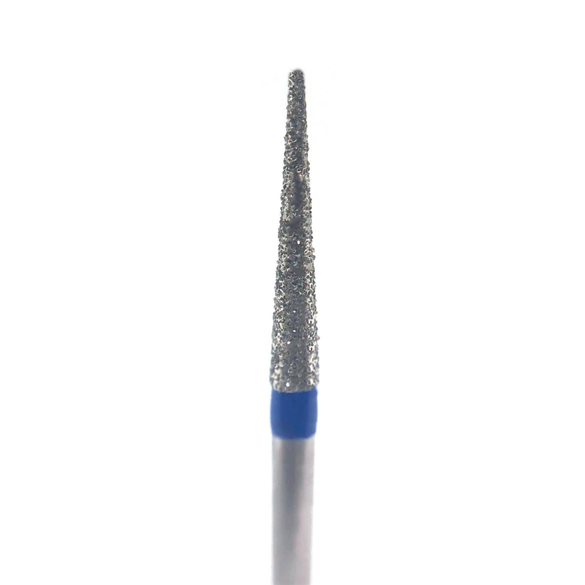 ASİDENTD+Z ECOLİNEE858M.313.014 E858