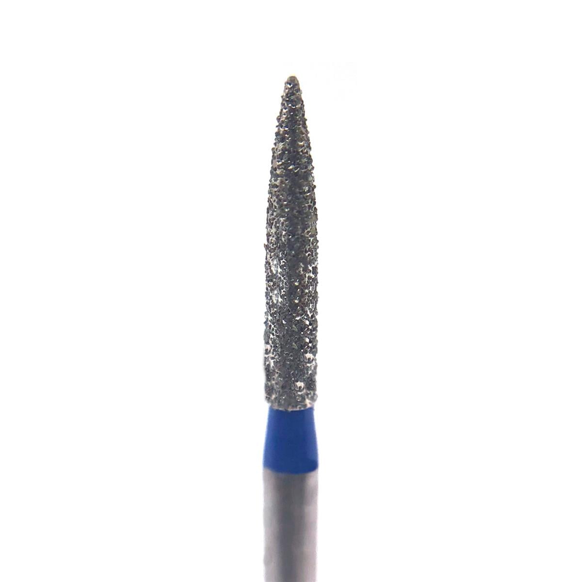 ASİDENTD+Z ECOLİNEE862EF.313.012 E862