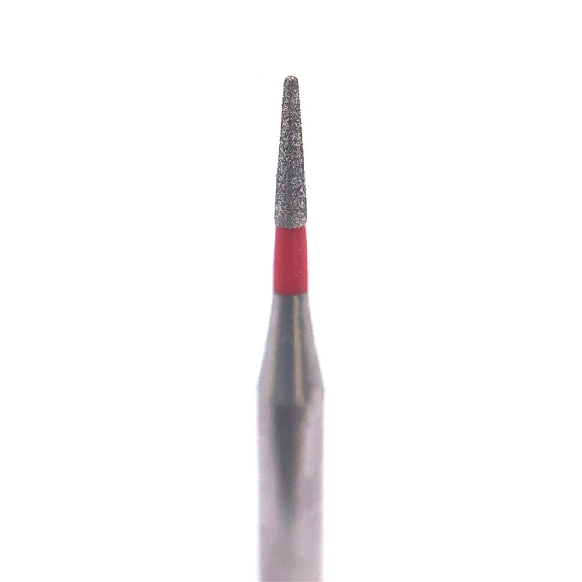 ASİDENTD+Z ECOLİNEE955F.313.007 E955