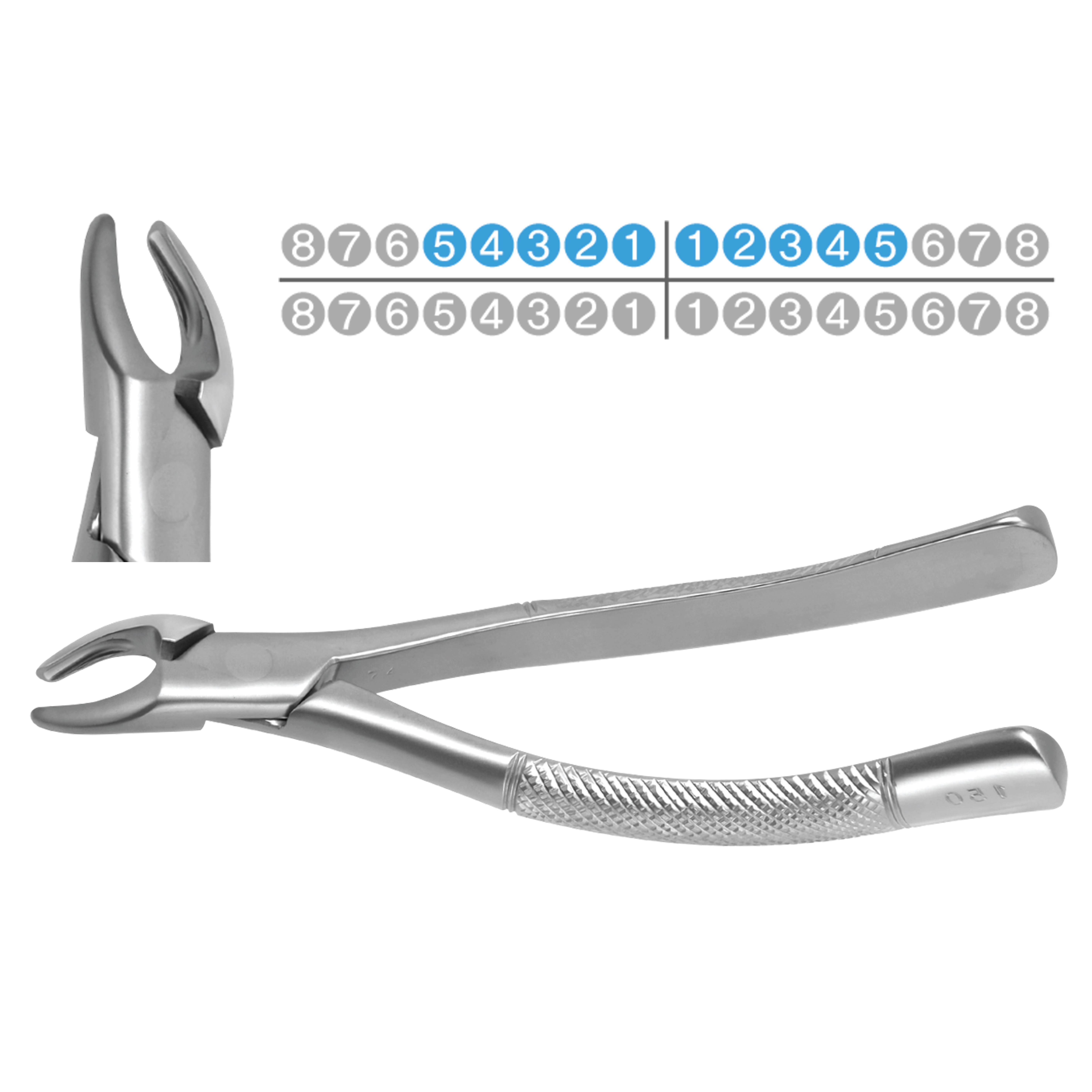 ASİDENTOSUNG(FX150)(FX150) Extraction Forcep DAVYE YETİŞKİN AMERİKAN TİP