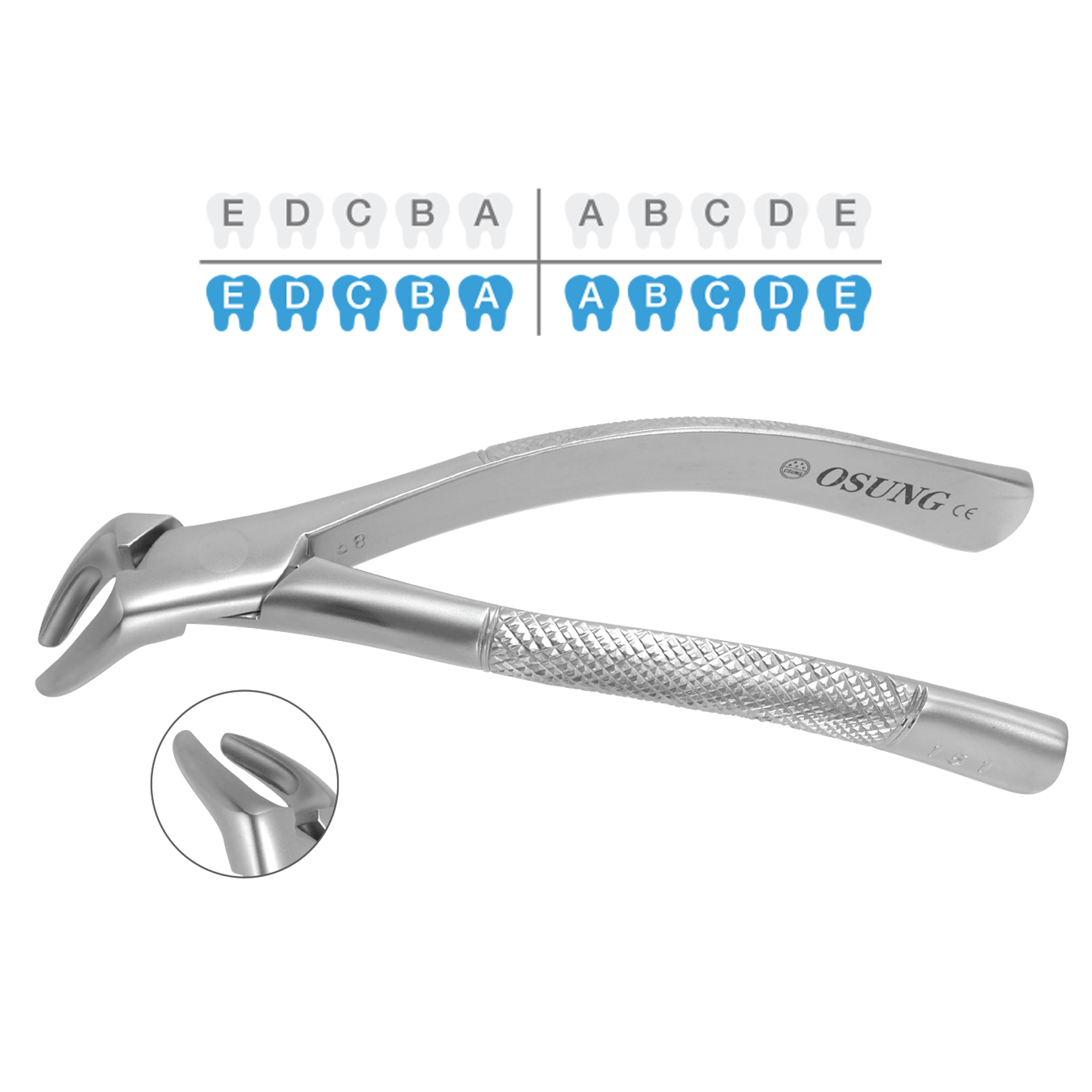 ASİDENTOSUNG(FX151S)(FX151S) Extraction Forcep DAVYE - ÇOCUK AMERİKAN TİP