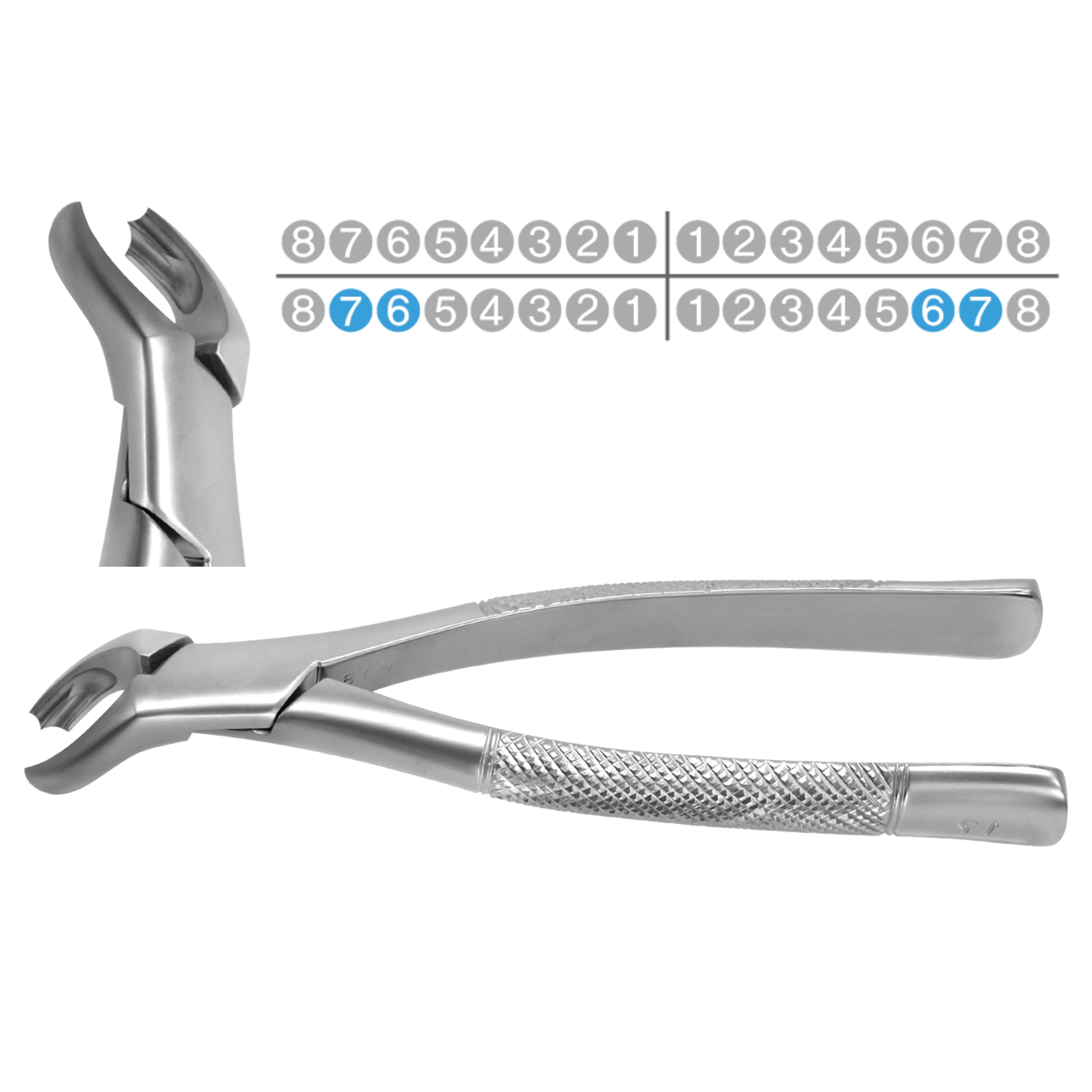 ASİDENTOSUNG(FX17)(FX17) Extraction Forcep DAVYE YETİŞKİN AMERİKAN TİP