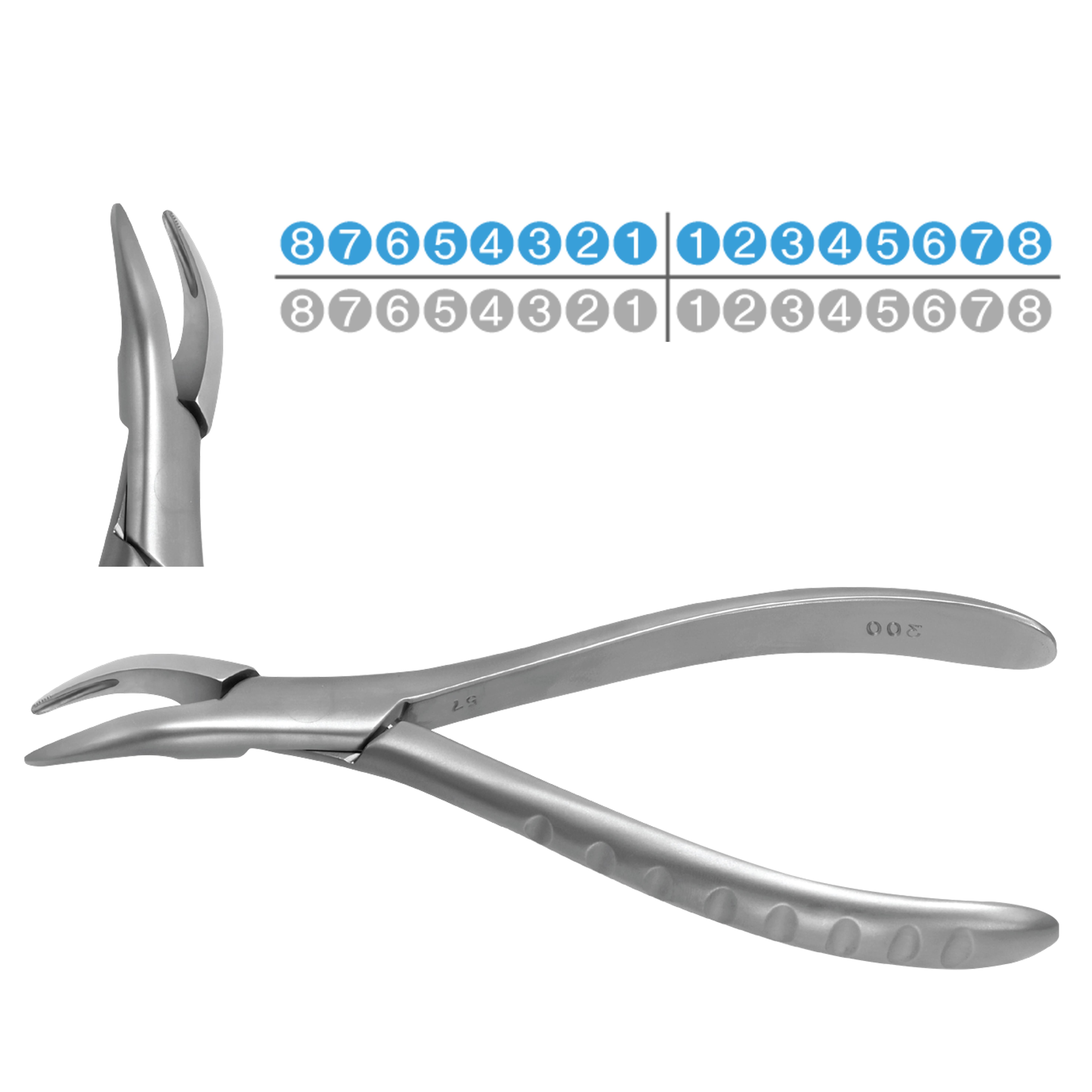 ASİDENTOSUNG(FX300)(FX300) Extraction Forcep DAVYE YETİŞKİN ÜST KÖK